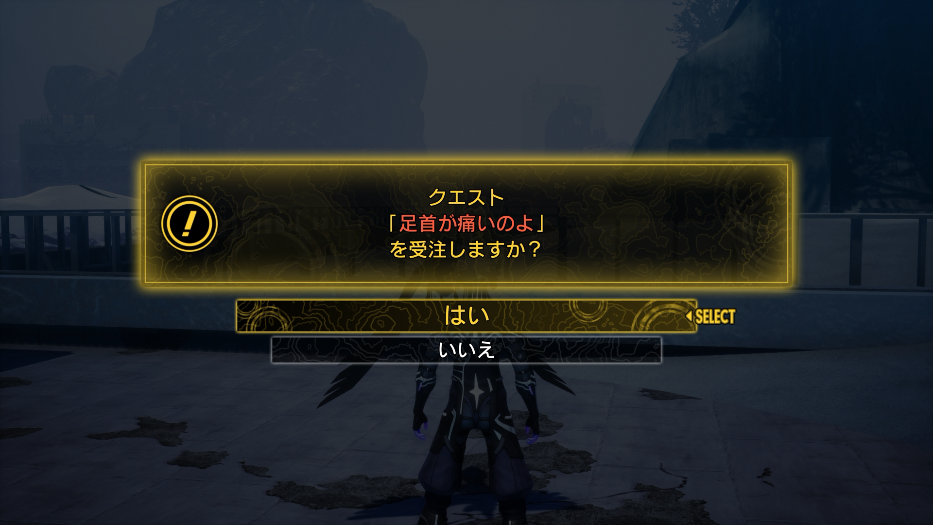 足首が痛いのよ-4